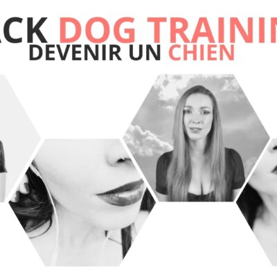 Formation pour clébard, pack dog training, devenir un chien